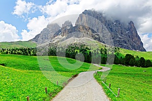 A hiking trail winding thru green grassy fields & wild flowers blooming on the meadows