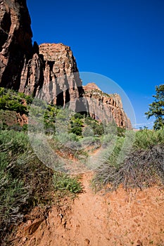 Hiking trails abound throughout Zion National Park