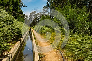 Levada Nova in Calheta Madeira