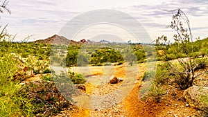 Hiking trails around the red sandstone buttes of Papago Park near Phoenix Arizona