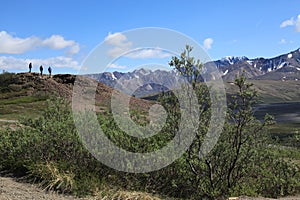 Hiking trails in Denali National Park