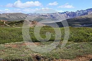 Hiking trails in Denali National Park