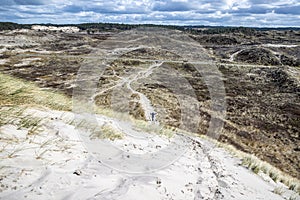 Hiking trails in a dune nature reserve, a woman and her dog among white sand, grass, dry heather and trees in the background