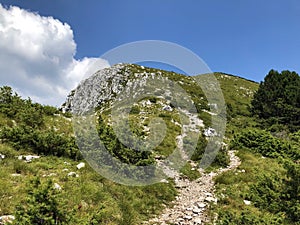 Hiking trails, forest paths and bicycle roads in the Ucka Nature Park, Croatia - Planinarske staze i Å¡umski putev