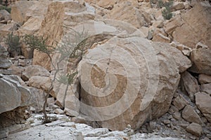 Hiking trails of Hajjar Mountains