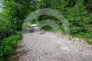 Hiking trails in slovakia in rainy summer day