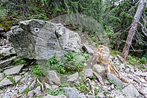 Hiking trails in Slovakia Tatra mountains near mountain lake of