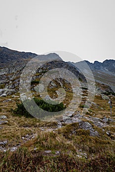 Turistické stezky na Slovensku Tatry u horského jezera