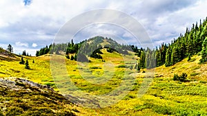 Hiking trails on Tod Mountain near the village of Sun Peaks of British Columbia, Canada