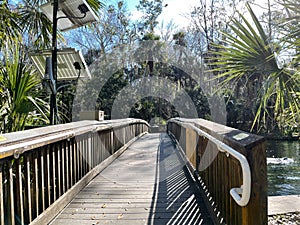The hiking trails at Wekiwa State Park in Orlando, Florida