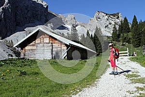 Hiking trekking child in the Alps