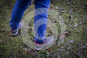 Hiking or trekking shoes.