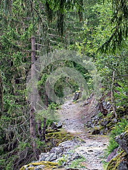 Hiking, trekking train path near Chamonix Mont Blanc, Haute Savoie, France in summer. View along the the petit balcon photo