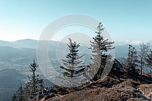 Hiking in the upper bavarian forest in the near of the Osser, germany. Color graded.