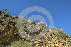 Hiking views of rugged cliff in the Sabino Canyon Arizona recreation area