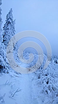 Hiking in Vitosha mountain Ecopath Bulgaria