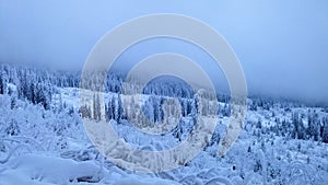 Hiking in Vitosha mountain Ecopath in Bulgaria