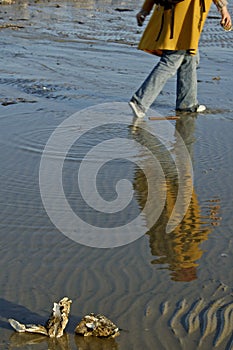 Hiking Vlieland, the Netherlands