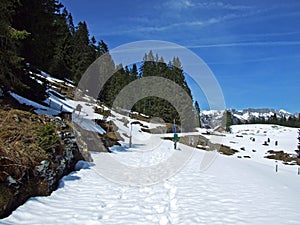 Hiking and walking trails on the slopes of the Alpstein mountain range and in the Thur river valley, Wildhaus