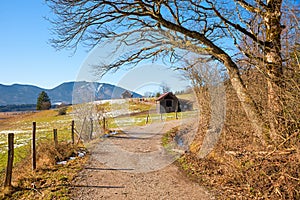 Hiking way  Murnau moorlands, with wooden huts, sunny day at early springtime, upper bavaria photo
