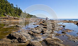 Hiking the West Coast Trail