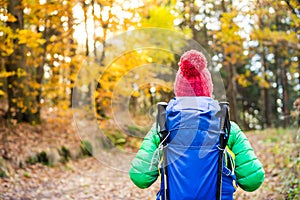 Hiking woman with backpack looking at inspirational autumn golden woods