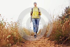 Hiking, woman and exercise with trekking pole in a bush path or forest trail for walking, workout or fitness on winter