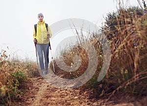 Hiking, woman and fitness with trekking pole in a bush path or forest trail for exercise, workout or walking on winter