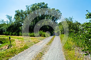 While hiking a wonderful view of nature photo