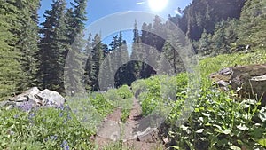 Hiking on the Wonderland Trail