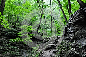 Hiking a wooded trail in Kentucky leading to a cave.