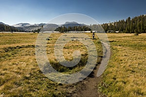 Hiking through the Yosemite National Park