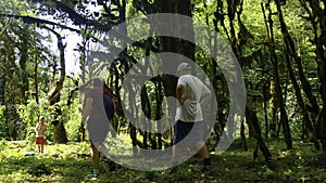 Hiking young woman and two boys walking together on the trail with backpack. Creative. Green beautiful vegetation and