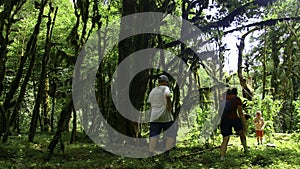 Hiking young woman and two boys walking together on the trail with backpack. Creative. Green beautiful vegetation and