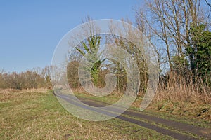 hikint trail through a sunny marsh landscape in the fle ish countryside