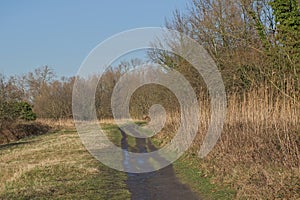 hikint trail through a sunny marsh landscape in the fle ish countryside