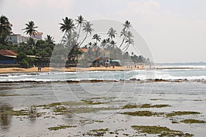 Hikkaduwa palm beach  , Sri Lanka