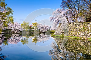 Hikone Castle Moat