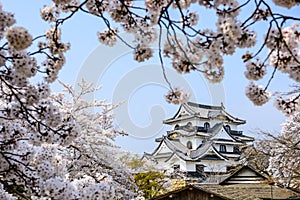 Hikone Castle