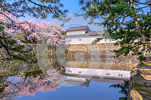 Hikone Castle in Spring