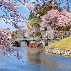 Hikone Castle Yakatabune Cruise is a sightseeing tour around the castle moat in a reconstructed boat