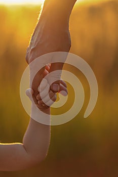 Ð¡hild holding a hand at sunset