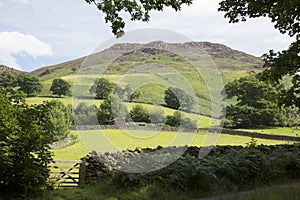 Hill behind Ashness Bridge; Keswick; Lake District