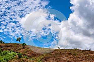 hill with a bright sky beautiful