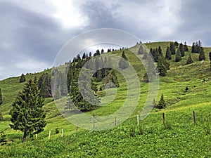 Hill Bruschstockbugel Brueschstockbuegel above alpine Lake Wagitalersee or Waegitalersee, Innerthal