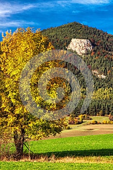 Hill Cerenova rock in Chocske mountains in region Liptov at Slovakia