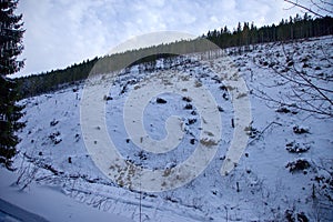 A hill after the clearcut in the mountains, Slovakia