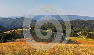 Hill countryside with pasture and forest