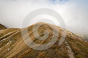 Kopec pokrytý horskou lúkou s turistickým chodníkom na jeseň Nízke Tatry na Slovensku