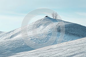 A hill covered in snow with trees standing tall on top, creating a wintry landscape, Snowy hill with a single sleigh on top, AI